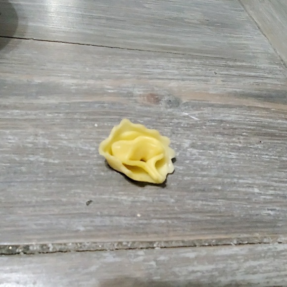 Meet your Posher, Tanis - Picture 1 of 1